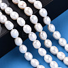 Natural Cultured Freshwater Pearl Beads Strands LS-PEAR-N012-06J-6