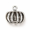 Tibetan Style Alloy Pendants LS-PALLOY-B012-02AS-2