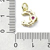 Brass Micro Pave Cubic Zirconia Pendants KK-H475-15G-04-3