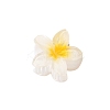Plastic Claw Hair Clips PW-WG07B2B-01-1