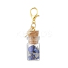 Natural Lapis Lazuli Chips inside Glass Wishing Bottle Pendant Decoration HJEW-JM03307-03-4
