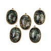 Natural African Turquoise(Jasper) Pendants X-STAS-F322-15G-04-1