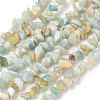 Natural Flower Amazonite Chips Beads Strands X-G-M205-12B-2