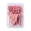 Dried Flowers DIY-D052-05-1