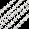 Natural Trochid Shell/Trochus Shell Beads Strands SH-CBA2978-17A-1