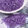 MIYUKI Delica Beads SEED-X0054-DB1343-1