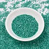 MIYUKI Delica Beads SEED-JP0008-DB1813-2