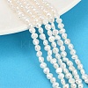 Natural Cultured Freshwater Pearl Beads Strands PEAR-P064-19B-12A-1
