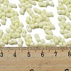 Macaron Color Opaque Frosted Glass Seed Beads SEED-K009-12B-15-4