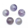 Natural Amethyst Cabochons X-G-P393-R14-10mm-1