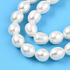 Natural Cultured Freshwater Pearl Beads Strands PEAR-N012-07Z-01-4