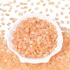 Transparent Spray Painted Glass Seed Beads SEED-L011-10A-14-2