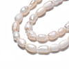 Natural Cultured Freshwater Pearl Beads Strands PEAR-N012-03C-4