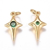 Brass Micro Pave Cubic Zirconia Charms ZIRC-G168-53G-02-2