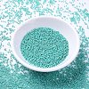 MIYUKI Delica Beads SEED-X0054-DB0166-3