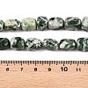 Natural Green Spot Jasper Beads Strands G-T138-96-5