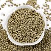 8/0 Baking Paint Glass Seed Beads SEED-M012-02A-50-2