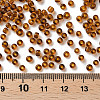Glass Seed Beads X2-SEED-A004-3mm-13-3