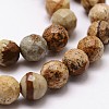 Natural Picture Jasper Beads Strands G-G736-27-6mm-3