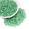 Baking Paint Electroplate Transparent Glass Seed Beads SEED-N006-07D-1