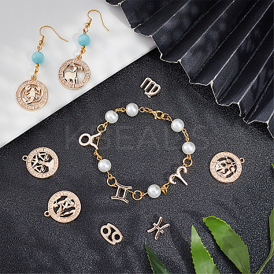 2 Bags 2 Style Alloy Pendants PALLOY-AR0001-23-1