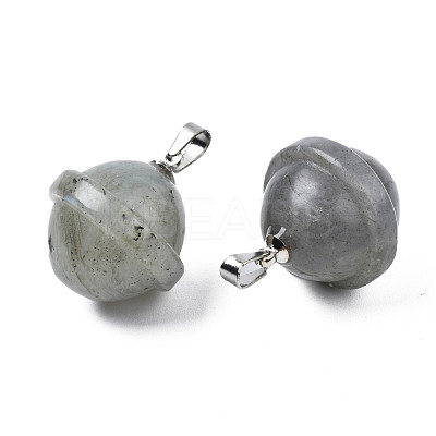 Natural Labradorite Pendants PORC-T132-053C-1