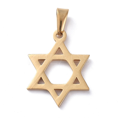 304 Stainless Steel Pendants X-STAS-I127-031G-B-1