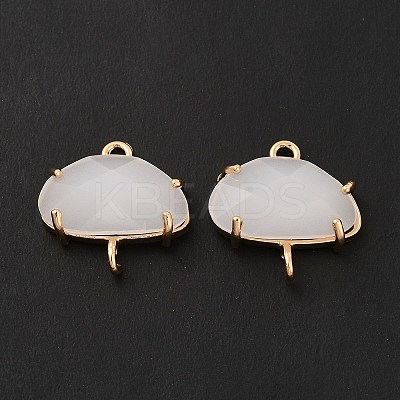 K9 Glass Connector Charms KK-E071-24KCG-03-1