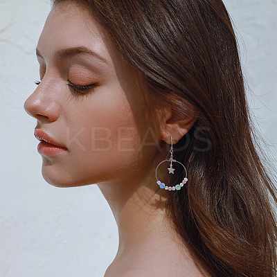 304 Stainless Steel Hoop Earrings STAS-UN0017-83P-1