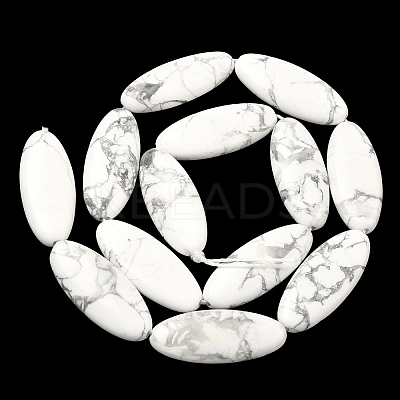 Natural Howlite Beads Strands G-B078-E17-01-1