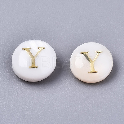Natural Freshwater Shell Beads SHEL-S266-12Y-1