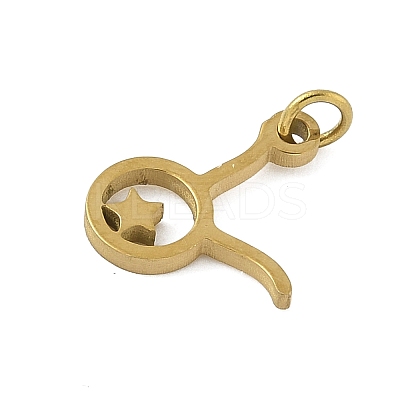 316L Surgical Stainless Steel Pendants STAS-U058-01G-02-1
