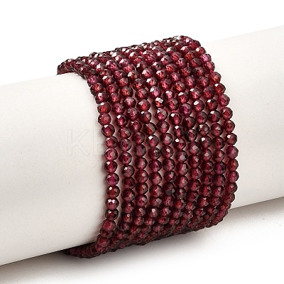 Natural Garnet Beads Strands X-G-J002-20-1