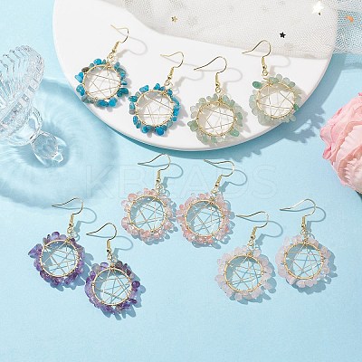 Natural & Synthetic Mixed Gemstone Chips Dangle Earrings EJEW-JE05705-1