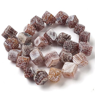 Natural Weathered Agate Beads Strands G-Q169-C04-02A-1