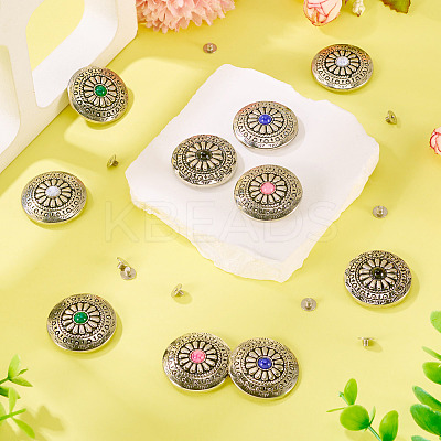 10Pcs 5 Colors Tibetan Style Flat Round Alloy with Resin Decorative Rivets BUTT-TA0001-31B-1