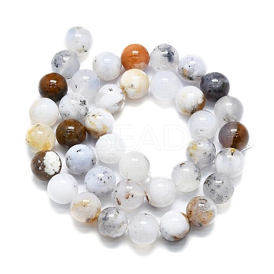 Natural White African Opal Beads Strands G-K245-A18-05-1