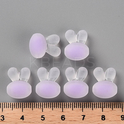Transparent Acrylic Beads TACR-S152-12C-SS2114-1