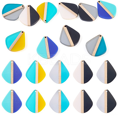 10Pcs 5 Colors Transparent & Opaque Resin & Wood Pendants RESI-TA0004-64-1