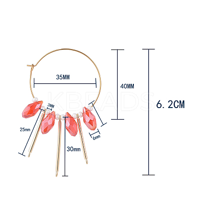 316L Surgical Stainless Steel Hoop Earring EJEW-JE03678-02-1