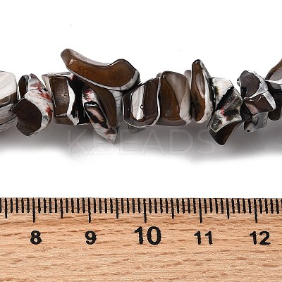Natural Trochid Shell/Trochus Shell Beads Strands SHEL-B003-02M-1