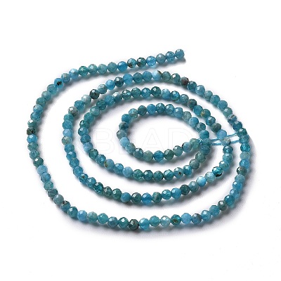Natural Apatite Beads Strands X-G-E411-36-2mm-01-1