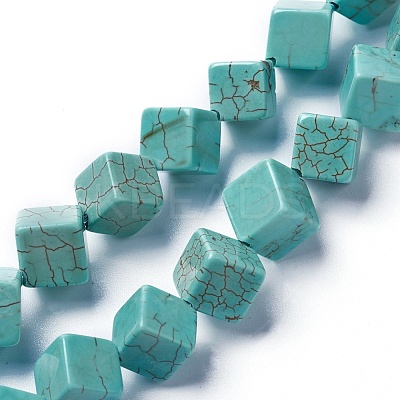 Dyed & Heated Natural Howlite Beads Strands G-F592-06-C-1