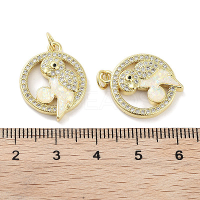 Brass Micro Pave Clear Cubic Zirconia Pendants KK-L213-024G-01-1