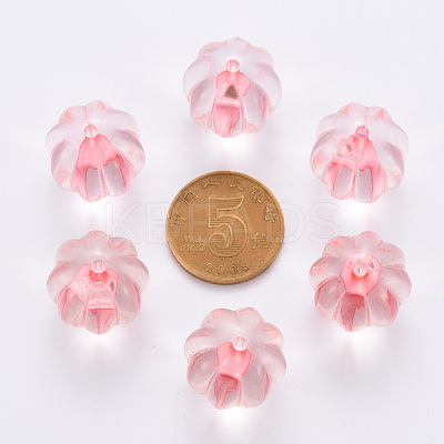 Transparent Acrylic Beads TACR-S154-19A-26-1