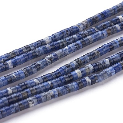 Natural Sodalite Beads Strands G-H230-10-1