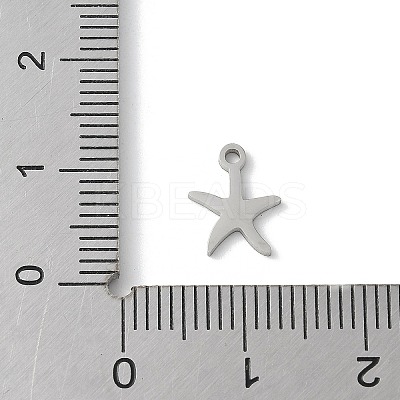 304 Stainless Steel Pendants LS-STAS-E501-06P-1