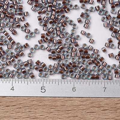 MIYUKI Delica Beads SEED-X0054-DB1706-1