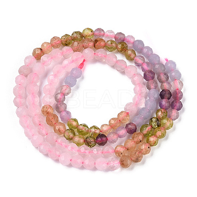 Natural Mixed Gemstone Beads Strands G-D080-A01-02-09-1