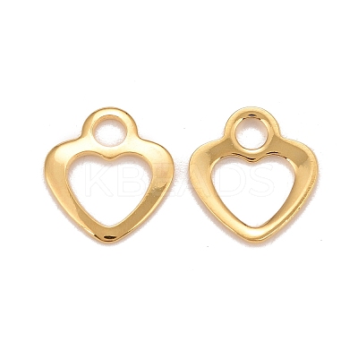 201 Stainless Steel Charms LS-STAS-K217-50A-G-1